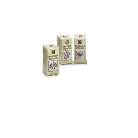 NEPETA CATARIA ESTRATTO ANALCOLICO 50 ML