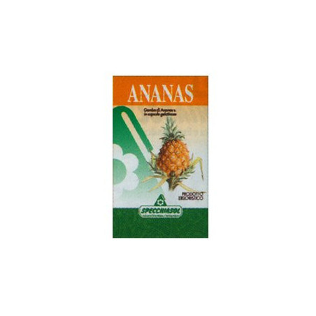 ANANAS ERBE 80CPS