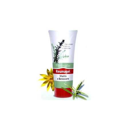 RECOVER GEL PFERDESALBE 200 ML