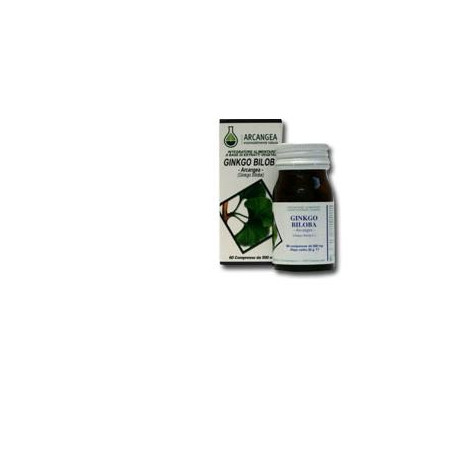 GINKGO BILOBA 60 CAPSULE 500 MG