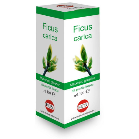 FICUS CARICA MG 100 ML GOCCE