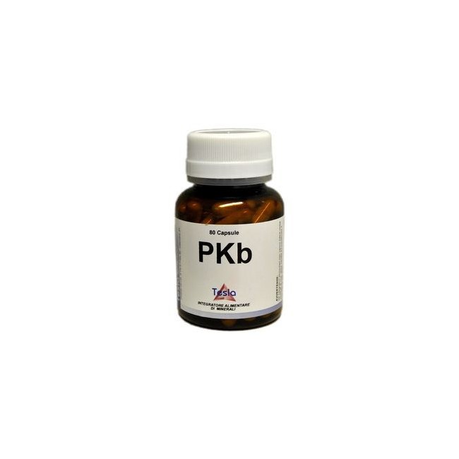 PKB 80 CAPSULE 71,7 G