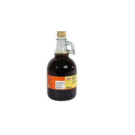 SUCCO D'ACERO 250 ML