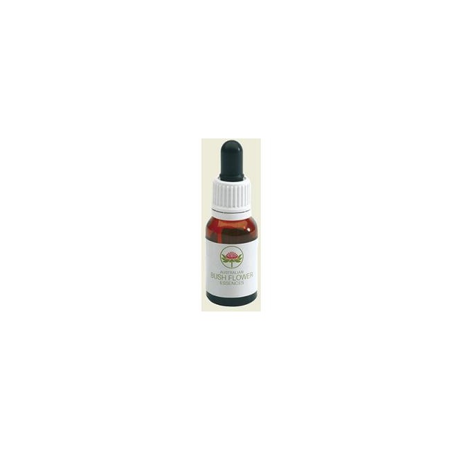 DOG ROSE AUSTRALIAN 15ML