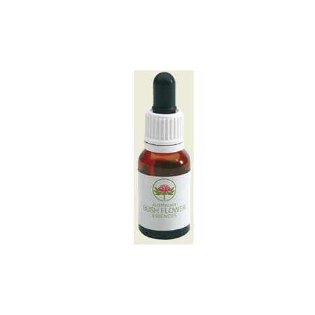 DOG ROSE AUSTRALIAN 15ML