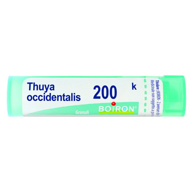 THUYA OCCIDENT 200K GRANULI