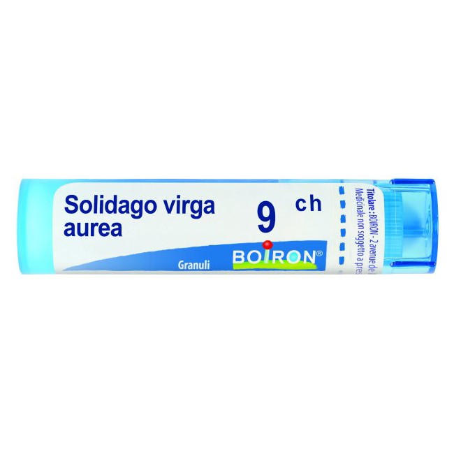 SOLIDAGO VIRGA AUREA 9CH GRANULI