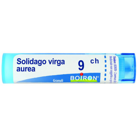 SOLIDAGO VIRGA AUREA 9CH GRANULI