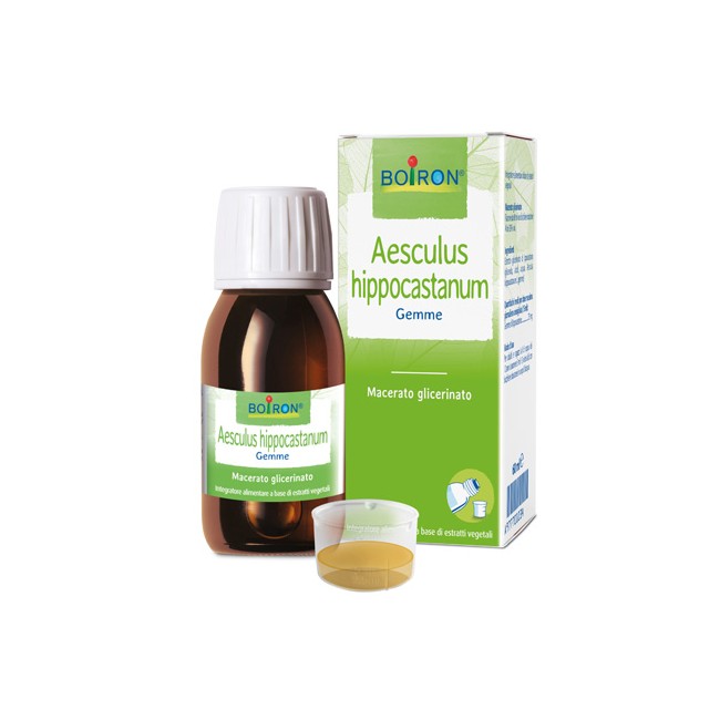 AESCULUS HIPPOCASTANUM MACERATO GLICERICO 60 ML INT