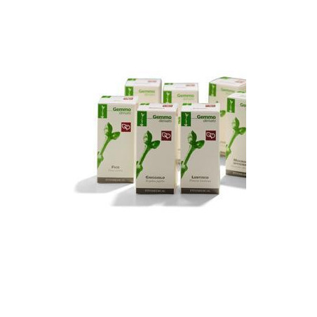 GIUGGIOLO MACERATO GLICERICO 100 ML