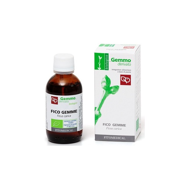 FICO GEMME MACERATO GLICERINATO BIO 50 ML