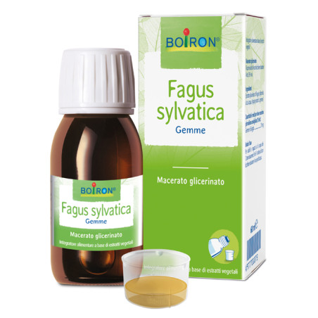 FAGUS SYLVATICA MACERATO GLICERICO 60 ML INT