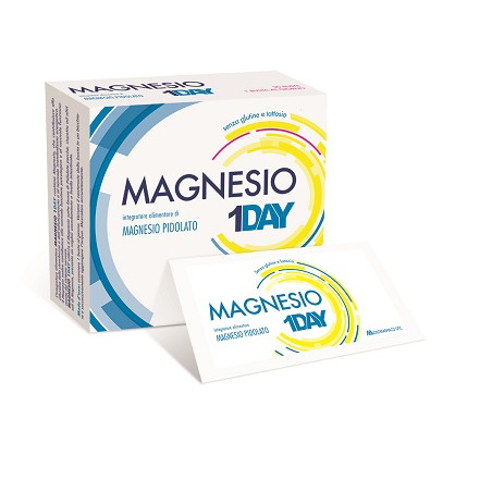 MAGNESIO 1DAY 20 BUSTE