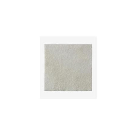 MEDICAZIONE BIATAIN ALGINATE IN ALGINATO E CARBOSSIMETILCELLULOSA 15X15 CM 10 PEZZI