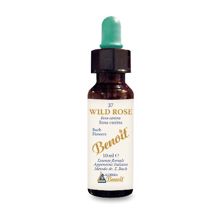 FIORI DI BACH BENOIT WILD ROSE 10 ML