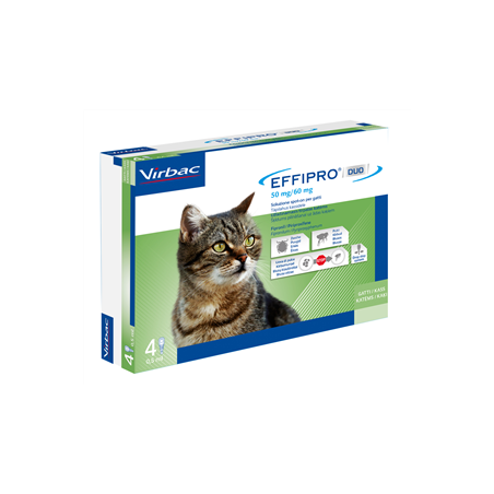 EFFIPRO DUO*4PIP 1-6KG GATTI