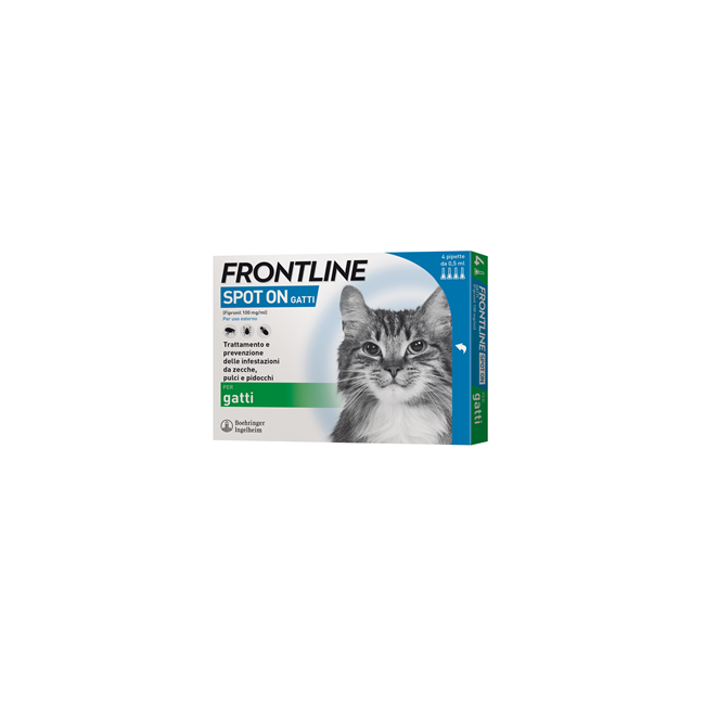 FRONTLINE*4PIP GATTI