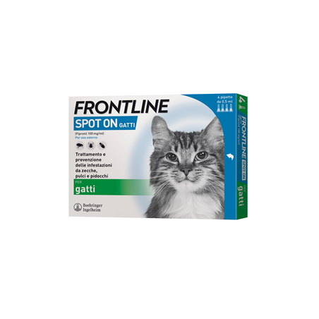 FRONTLINE*4PIP GATTI