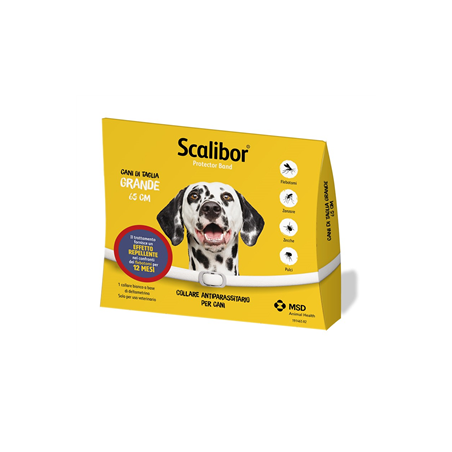 SCALIBOR PROTECTOR BAND*BI65CM