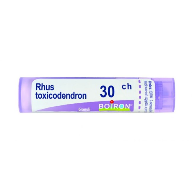 BOIRON RHUS TOXICODENDRON*30CH 80GR4G