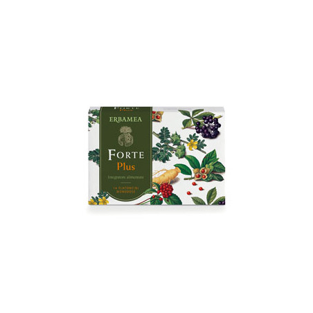 FORTE PLUS 14FLUIDO MONOD 10 ML