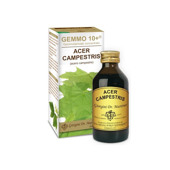 GEMMO 10+ ACERO CAMPESTRE 100 ML LIQUIDO ANALCOLICO