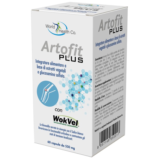 ARTOFIT PLUS 60 CAPSULE