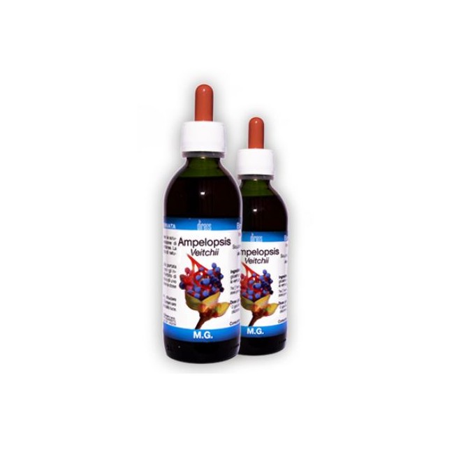 AMPELOPSIS VEITCHII MACERATO GLICERICO 50 ML