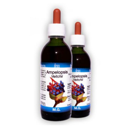 AMPELOPSIS VEITCHII MACERATO GLICERICO 50 ML