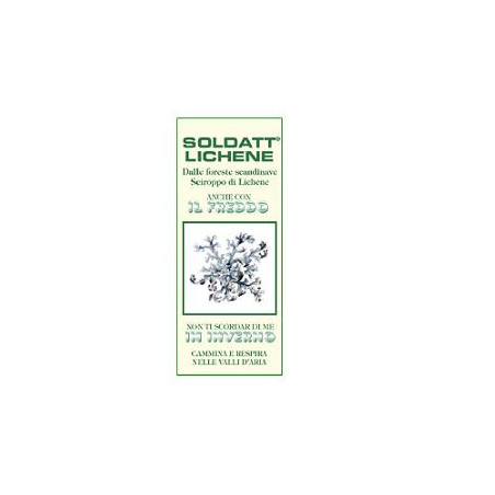 SOLDATT LICHENE SCIR 60ML