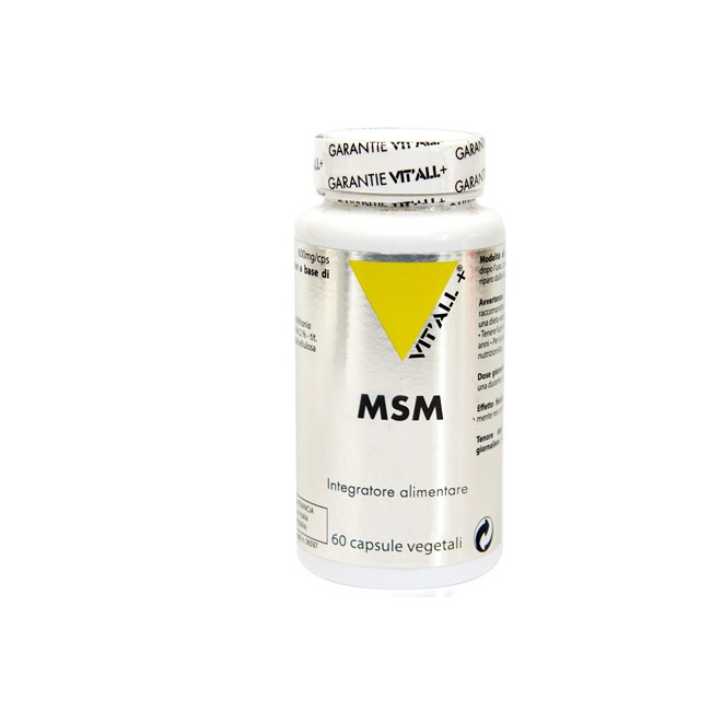 MSM 60 CAPSULE