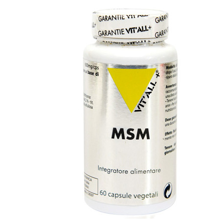 MSM 60 CAPSULE