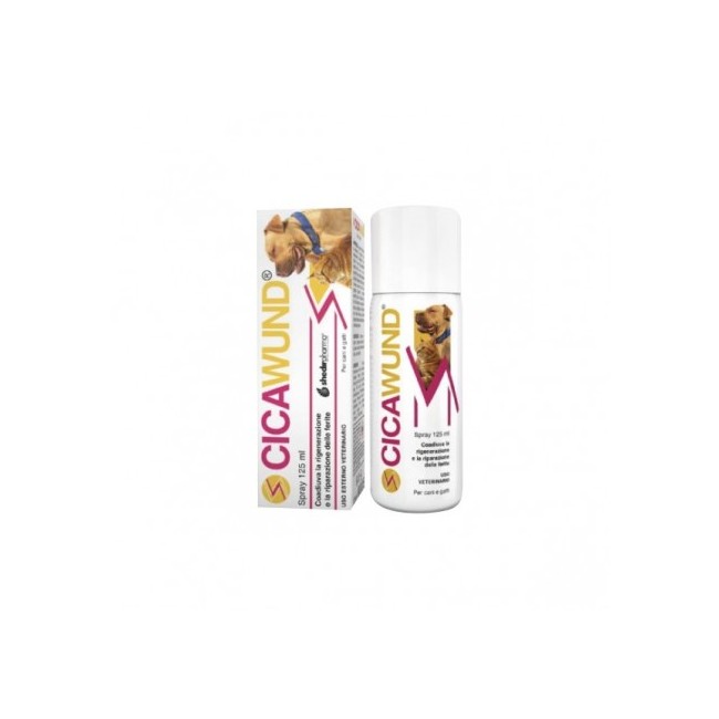 CICAWUND SPRAY 125 ML