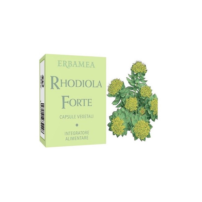 RHODIOLA FORTE 24 CAPSULE