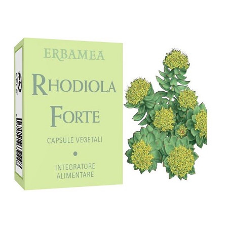 RHODIOLA FORTE 24 CAPSULE