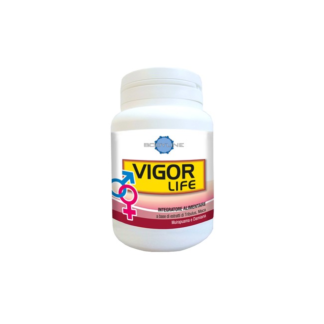 VIGOR LIFE 40 CAPSULE