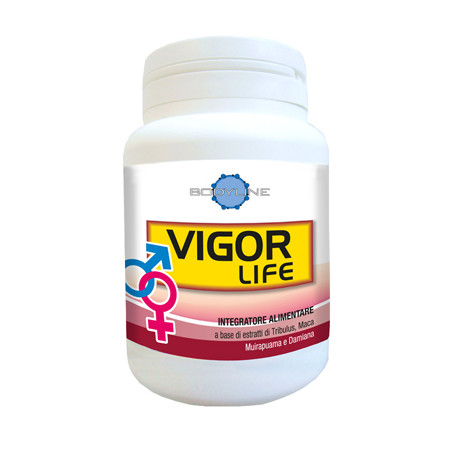 VIGOR LIFE 40 CAPSULE