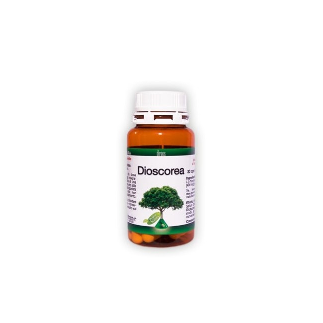 DIOSCOREA 30 CAPSULE 500 MG