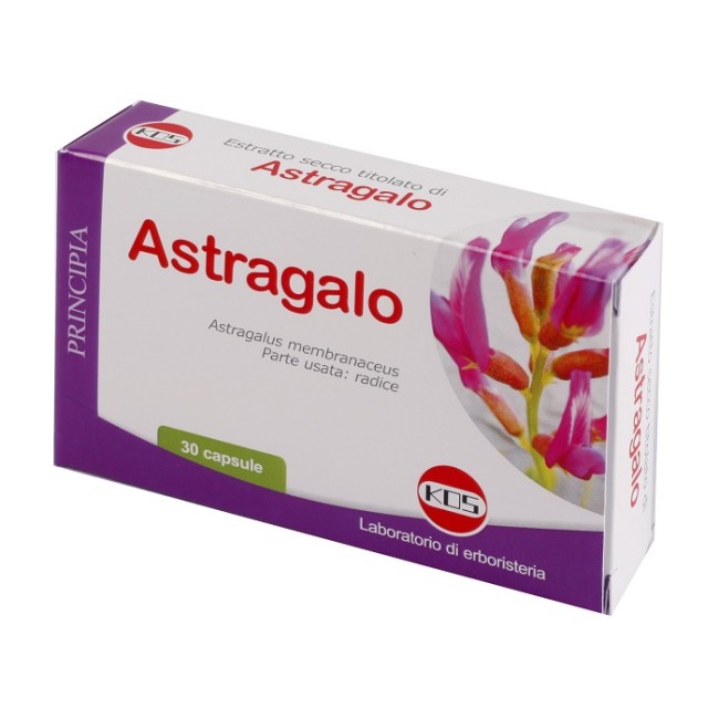 ASTRAGALO ESTRATTO SECCO 70% 500 MG 30 CAPSULE