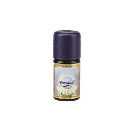 EUCALIPTO10 ML