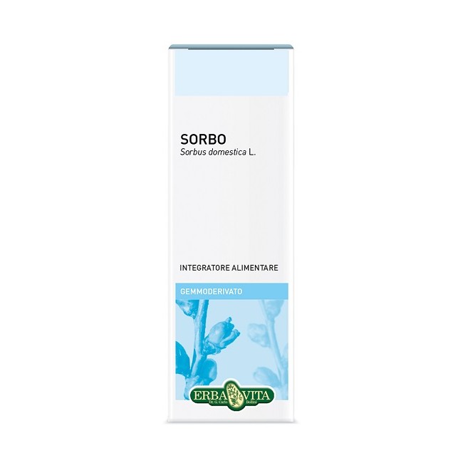 GEMMODERIVATO SORBO 50 ML