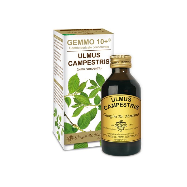 GEMMO 10+ OLMO CAMPESTRE 100 ML LIQUIDO ANALCOLICO