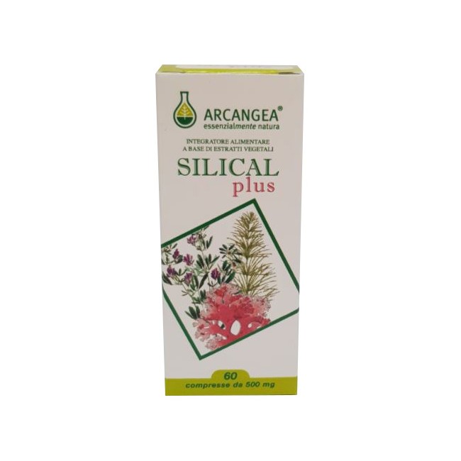 SILICAL PLUS 60 COMPRESSE