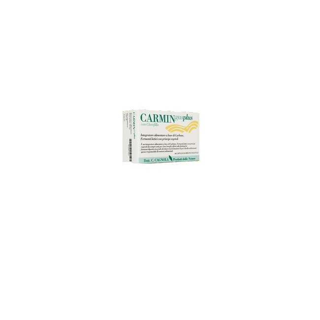 CARMIN GAS PLUS 45 CAPSULE