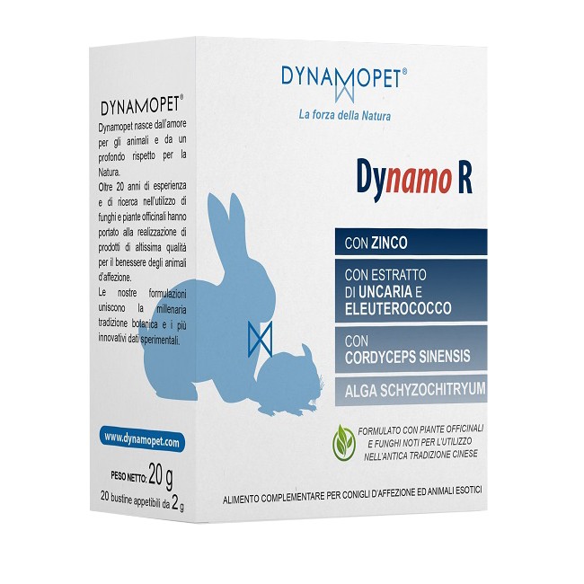 DYNAMO R 20 BUSTINE DA 2 G