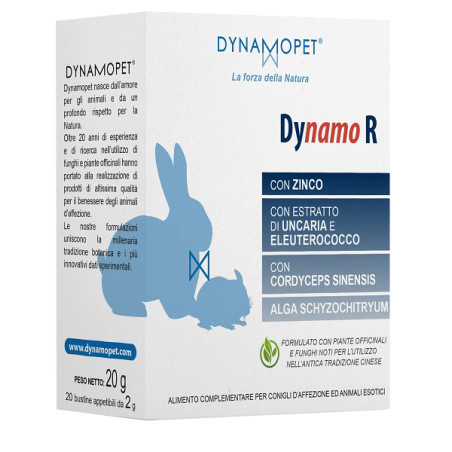 DYNAMO R 20 BUSTINE DA 2 G