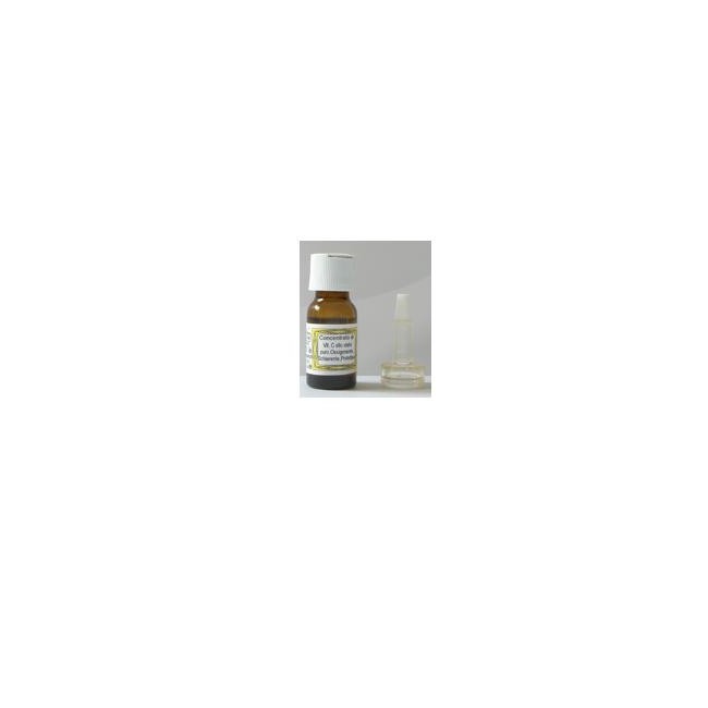 SIDEA C INTEGRALE VITAMINA C 10 ML