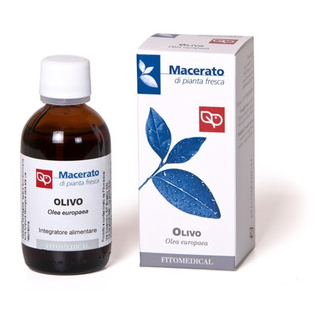 OLIVO TINTURA MADRE BIO 50 ML