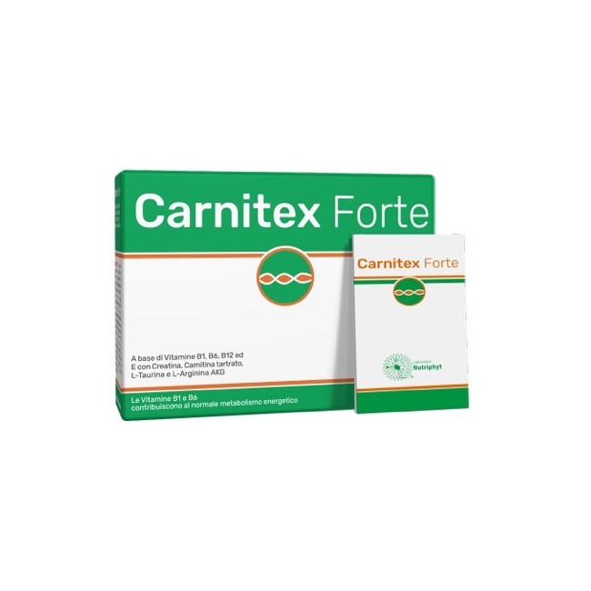 CARNITEX FORTE 14 BUSTINE