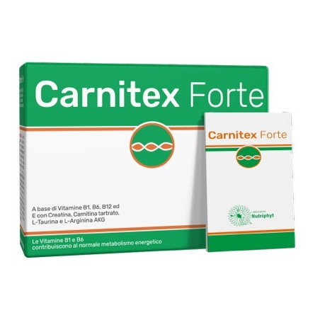 CARNITEX FORTE 14 BUSTINE